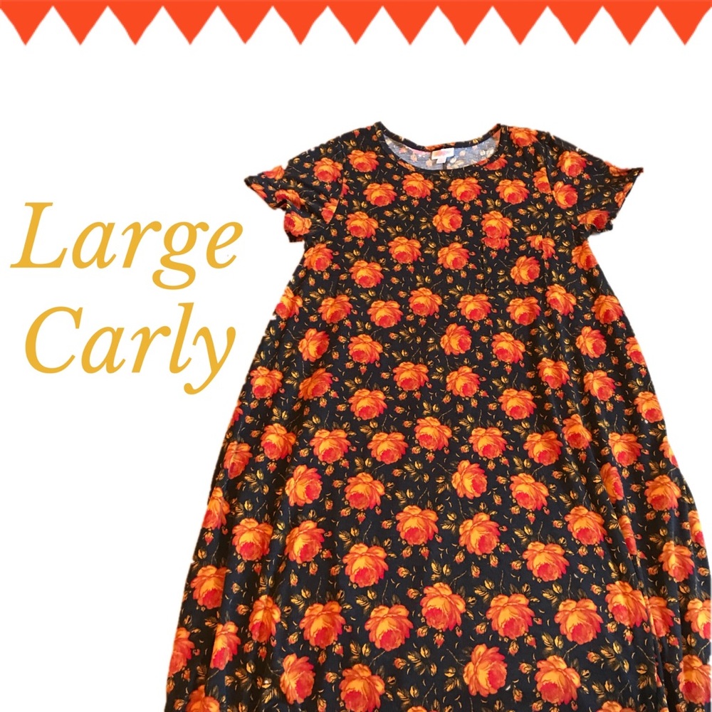 LuLaRoe Carly dress Roses!!